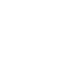 Icon of document with check mark.