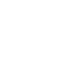 Icon of flask.